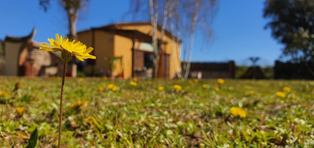 Masia Can Bachs Sant Pere de Vilamajor Exteriér fotografie